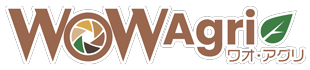 ワオアグリ